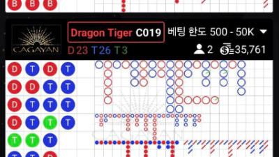 바카라 스피드게임 이 승률이 좋은 이유?